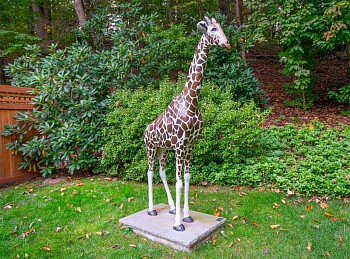 Work: Steven Simmons Sas