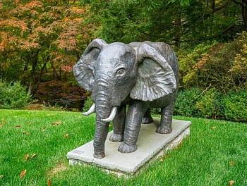 Work: Steven Simmons Kruger