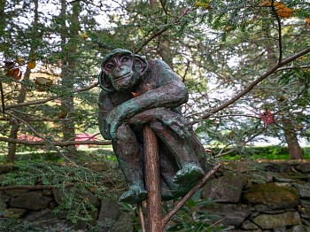 Work: Steven Simmons Monkey in the Trees