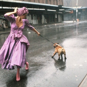 Exhibition: Group Show [New York, NY], Robert Farber