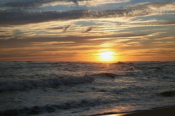 Debranne Cingari - Debranne Cingari Colorful Cisco IV, Ed. of 10