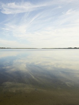 Work: Nathan Coe Quidnet 2