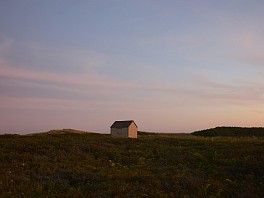 Past Exhibitions: Nathan Coe: Summer 2020 Exhibition Aug  1 - Aug 30, 2020