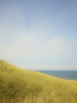 Work: Nathan Coe Eel Point