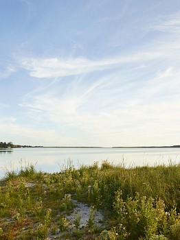 Work: Nathan Coe Quidnet