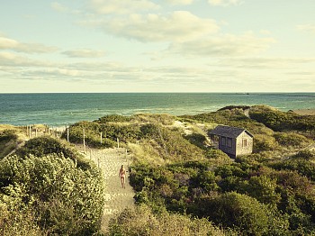 Work: Nathan Coe Steps