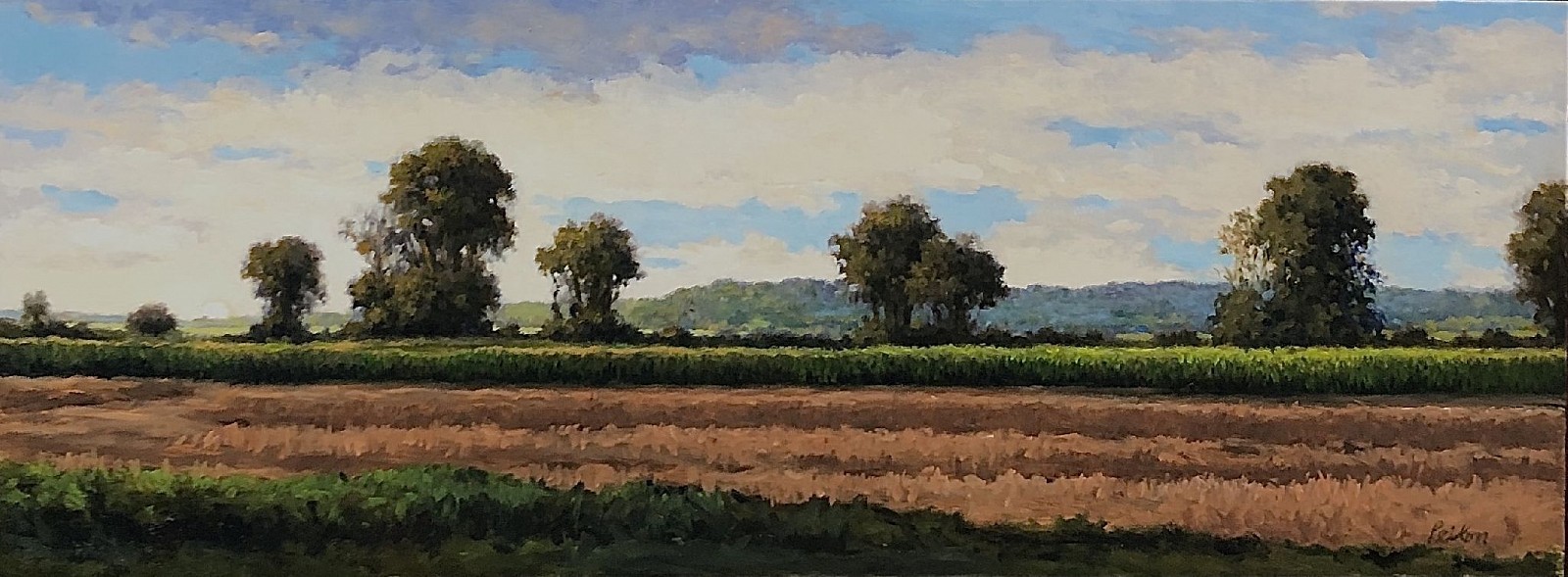 David Peikon, Sunrise, Fall Field, 2020
oil on panel, 9 x 24 in. (22.9 x 61 cm)
DP201108