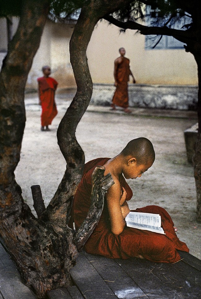 Steve McCurry, Monk Reads Under Tree, 1995
FujiFlex Crystal Archive Print
Price/Size on request