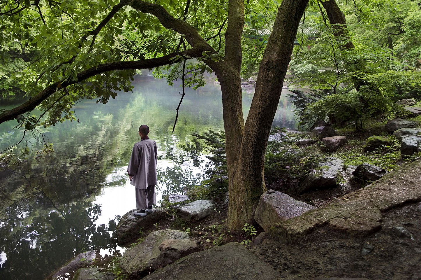 Steve McCurry, Monk in Contemplation, 2007
FujiFlex Crystal Archive Print
Price/Size on request