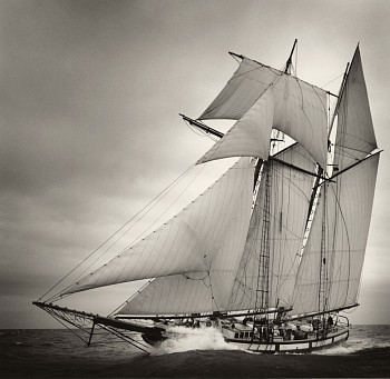 Michael Kahn - Michael Kahn The Lynx