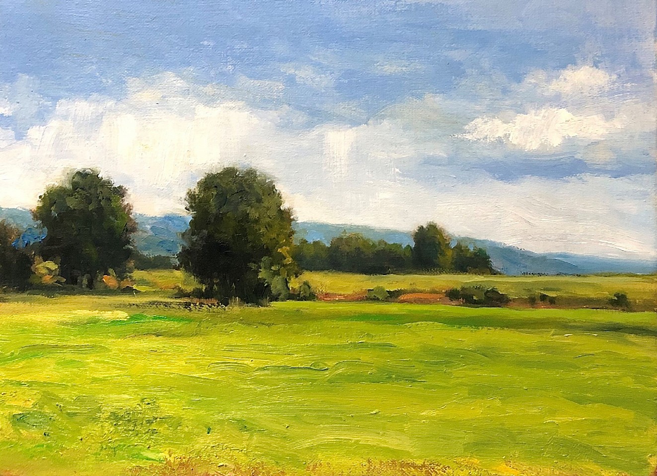 David Peikon, Auvergne Field
oil on linen, 9 x 12 in. (22.9 x 30.5 cm)
DP210303