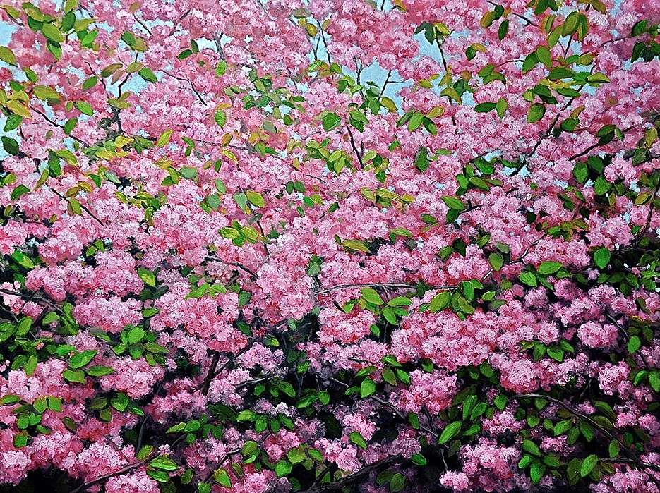 David Peikon, Kwanzan, 2021
oil on linen, 36 x 48 in.