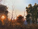 David Peikon, Autumn Light
2021, oil on linen