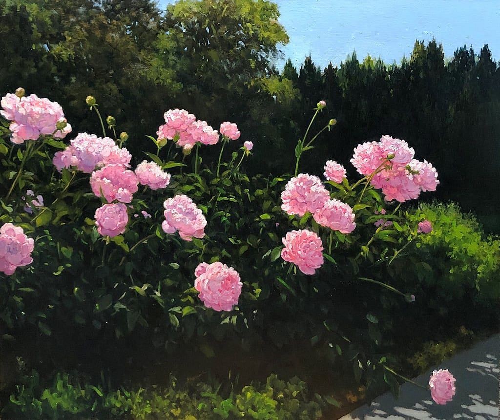 David Peikon, Peonies, 2020
oil on linen, 33 x 40 in. (83.8 x 101.6 cm)
DP200807