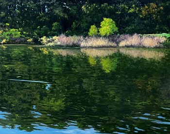 David Peikon -&nbsp;David Peikon Green Light