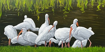 David Peikon -&nbsp;David Peikon Ibis in the Morning