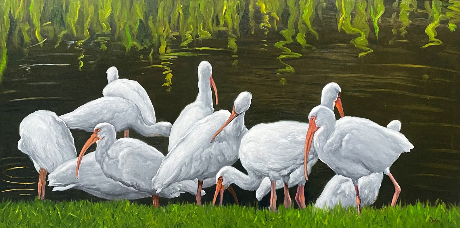 David Peikon, Ibis in the Morning, 2022
oil on linen, 24 x 48 in.