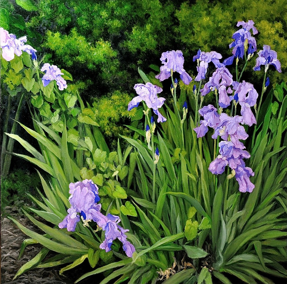 David Peikon, Irises, From My Garden, 2018
oil on linen, 30 x 30 in.