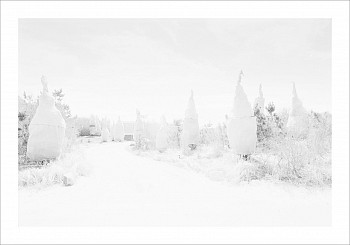 Work: Christophe von Hohenberg Snowcones, Ed. 1/5