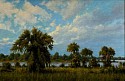 Frank Corso, Everglades Afternoon
2022, oil on canvas
