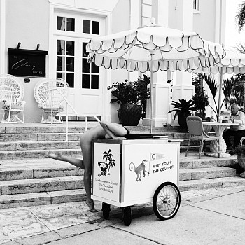 Nathan Coe: Timeless&nbsp;