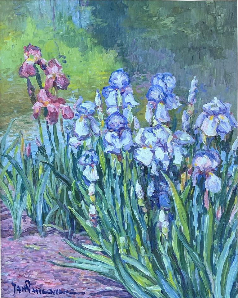 Jan Pawlowski, White Irises, 2022
oil on canvas, 20 x 16 in. (50.8 x 40.6 cm)
JP220702