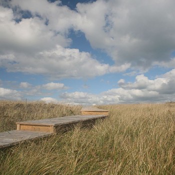 photography:&nbsp;Debranne Cingari Pathway to Heaven, Ed. of 7