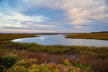 Debranne Cingari - Debranne Cingari Peace Within, Ed. 1/7