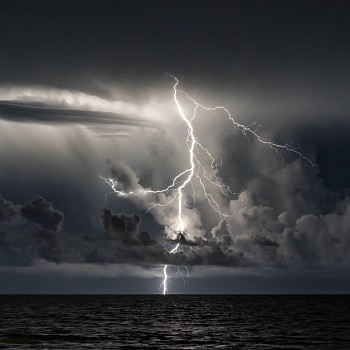 Exhibition: Palm Beach Modern + Contemporary 2023, Shawn Moss