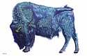 Helmut Koller, Bison on White
2019, acrylic on canvas
