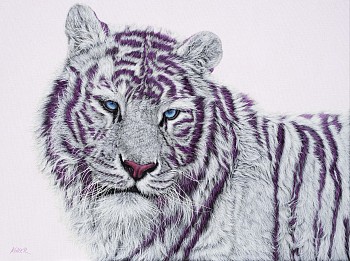 Helmut Koller - Helmut Koller Tiger with Magenta Stripes