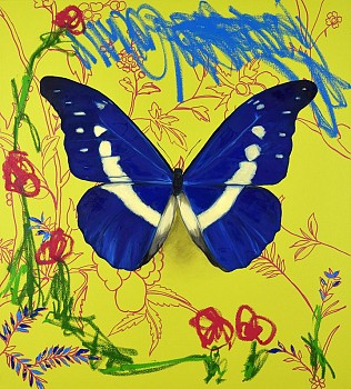 Work: Adam S. Umbach Another Garden Scene #1