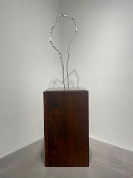 Roxy Paine - Roxy Paine Maquette for Portal