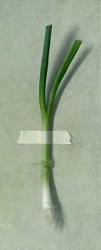 Robert Stark III -&nbsp;Robert Stark III Scalawag