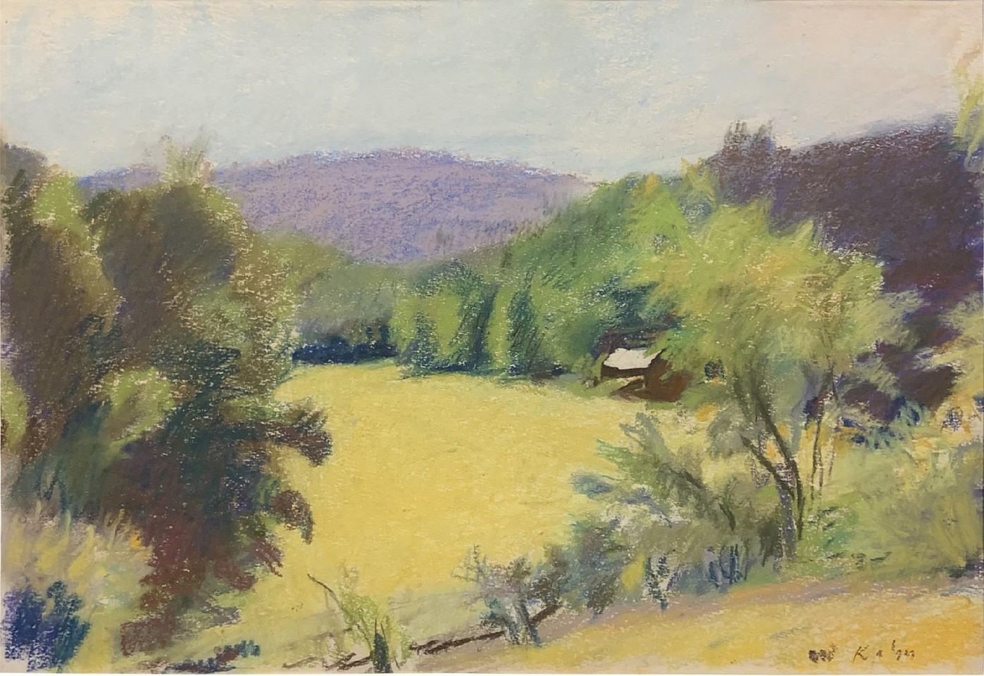 Wolf Kahn, Untitled (Landscape)
pastel on paper, 11 1/2 x 17 in. (29.2 x 43.2 cm)
WK230202