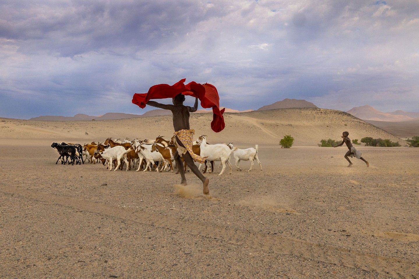 Steve McCurry, Himba Shepherds Take Their Goats to Graze, Ed. of 30
FujiFlex Crystal Archive Print, 20 x 24 in. (50.8 x 61 cm)
NAMIBIA-10004
