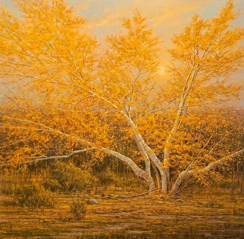 Frank Corso, Fallen Leaves
oil on canvas, 48 x 48 in. (121.9 x 121.9 cm)
FP240104