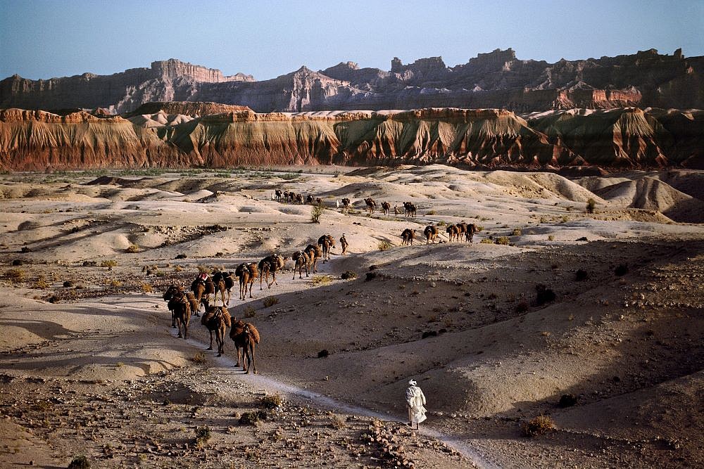 Steve McCurry, Camel Caravan, Ed. 2/7, 1980
FujiFlex Crystal Archive Print, 40 x 60 in.
AFGHN12212