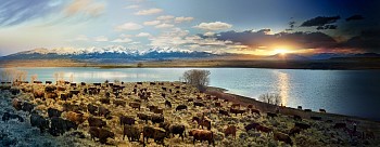 Stephen Wilkes - Stephen Wilkes J Bar L Ranch, Montana, Day to Night, Ed. 1/12