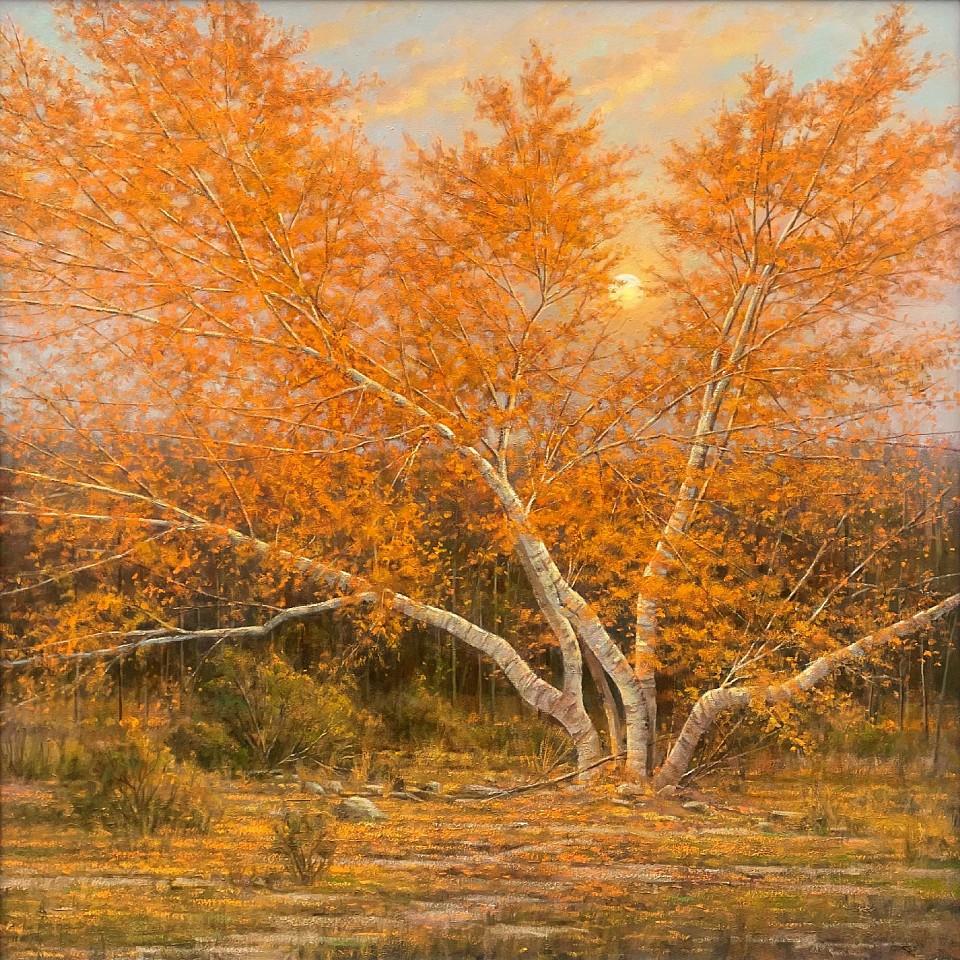Frank Corso, Fallen Leaves, 2023
oil on canvas, 48 x 48 in. (121.9 x 121.9 cm)
FP240104