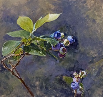 Peter E. Poskas III - Peter E. Poskas III Blueberries, Ripening