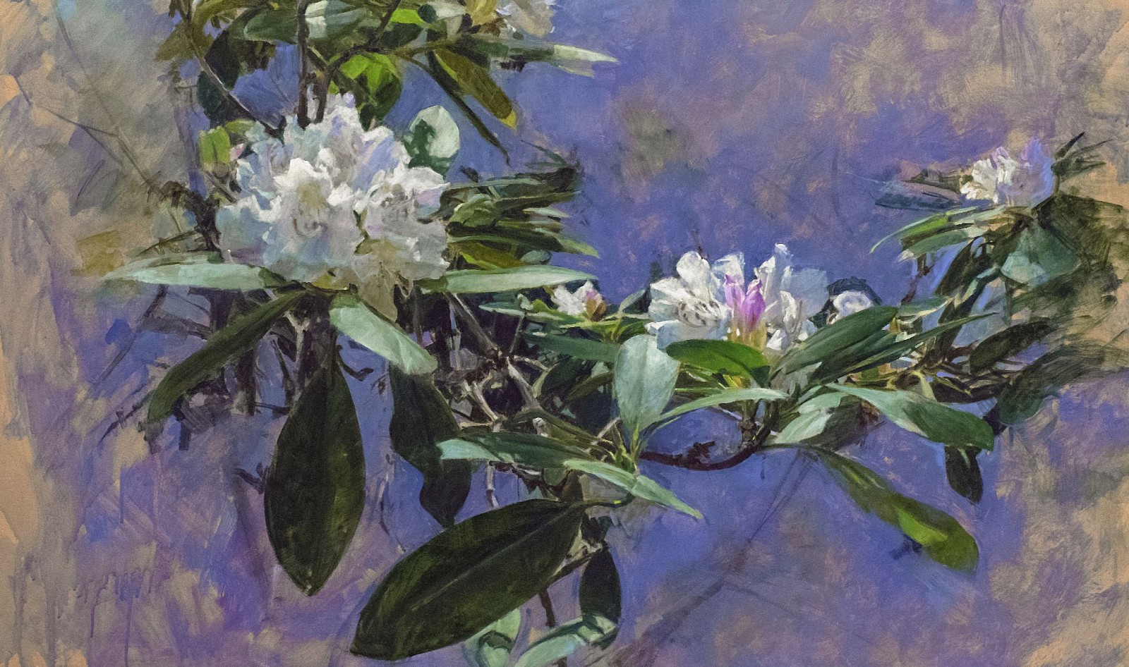 Peter E. Poskas III, Extending Rhododendron, 2021
oil on panel, 24 1/2 x 41 1/2 in. (62.2 x 105.4 cm)
PPIII250202