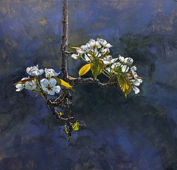 Peter E. Poskas III - Peter E. Poskas III Blossoming Pear Branch