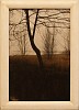 maps drawn in branches