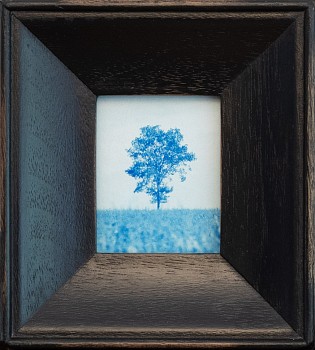 Jefferson Hayman - Jefferson Hayman My Tree