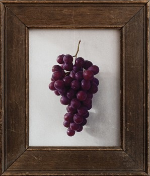 Jefferson Hayman - Jefferson Hayman Still Life With Grapes