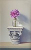 peony pedestal uf