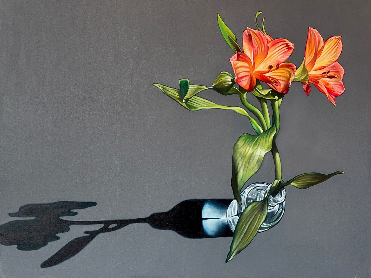 William Nelson, Peruvian Lily, 2025
oil on canvas, 36 x 48 in. (91.4 x 121.9 cm)
WN250602