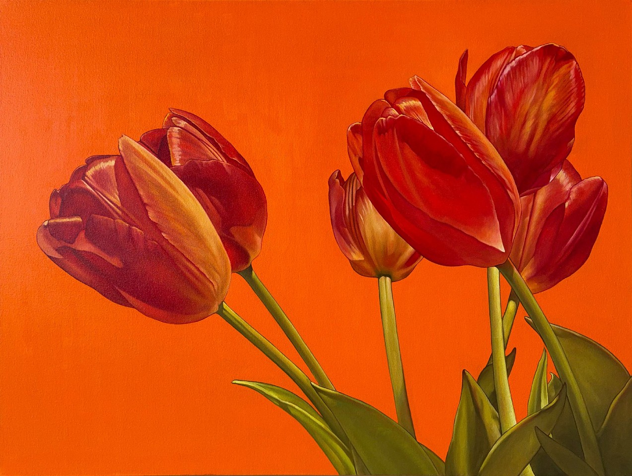 William Nelson, Dutch Tulips, 2025
oil on canvas, 36 x 48 in. (91.4 x 121.9 cm)
WN250603