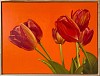 nelson tulip fr